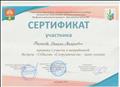 Сертификат участника в межрайонной встрече -СОбытии "Сотрудничество- залог успеха" Сертификат участника в межрайонной встрече -СОбытии "Сотрудничество- залог успеха"